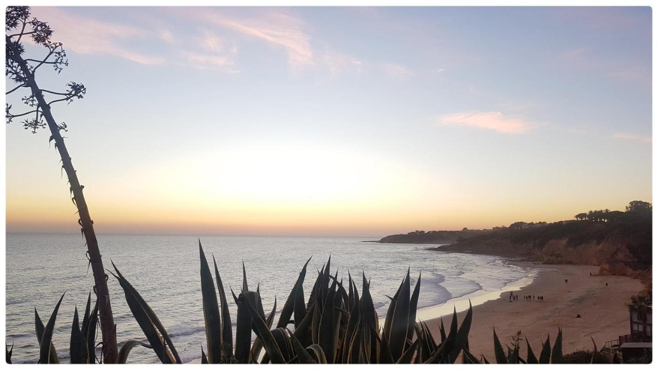 Sunset Villa By Laranjal Rentals Olhos de Agua  Exteriér fotografie
